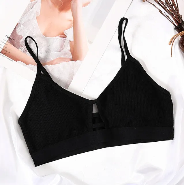 Padded Bralette Deep V Lace Bras For Women Fashion Wireless Bra 3 Colors Summer Crop Top Girls Backless Lingerie Free Size 2019