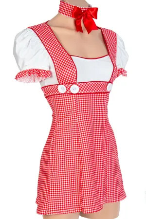 Spandex Gingham Dress